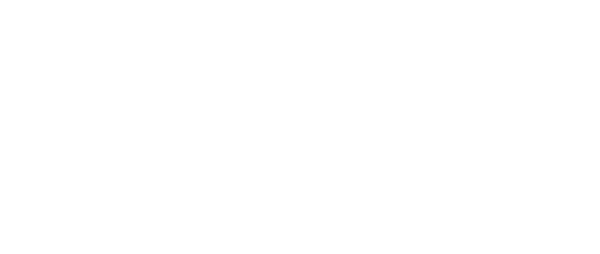 Logo-IRANI